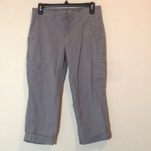 Eddie Bauer Gray Slightly Curvy Crop Pants Size 2P